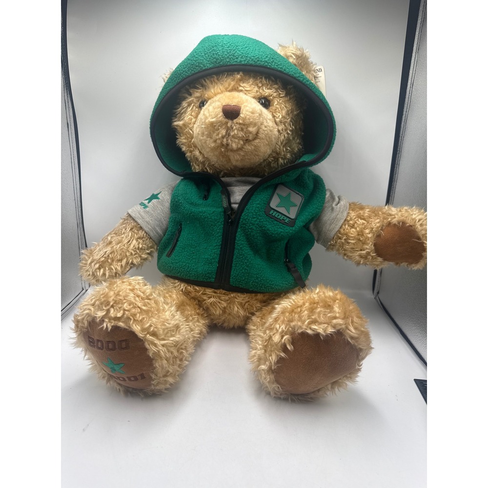 Gund Hope Wish Bear Limited Edition 2000-2001 Green Fleece Vest Plush Teddy Bear